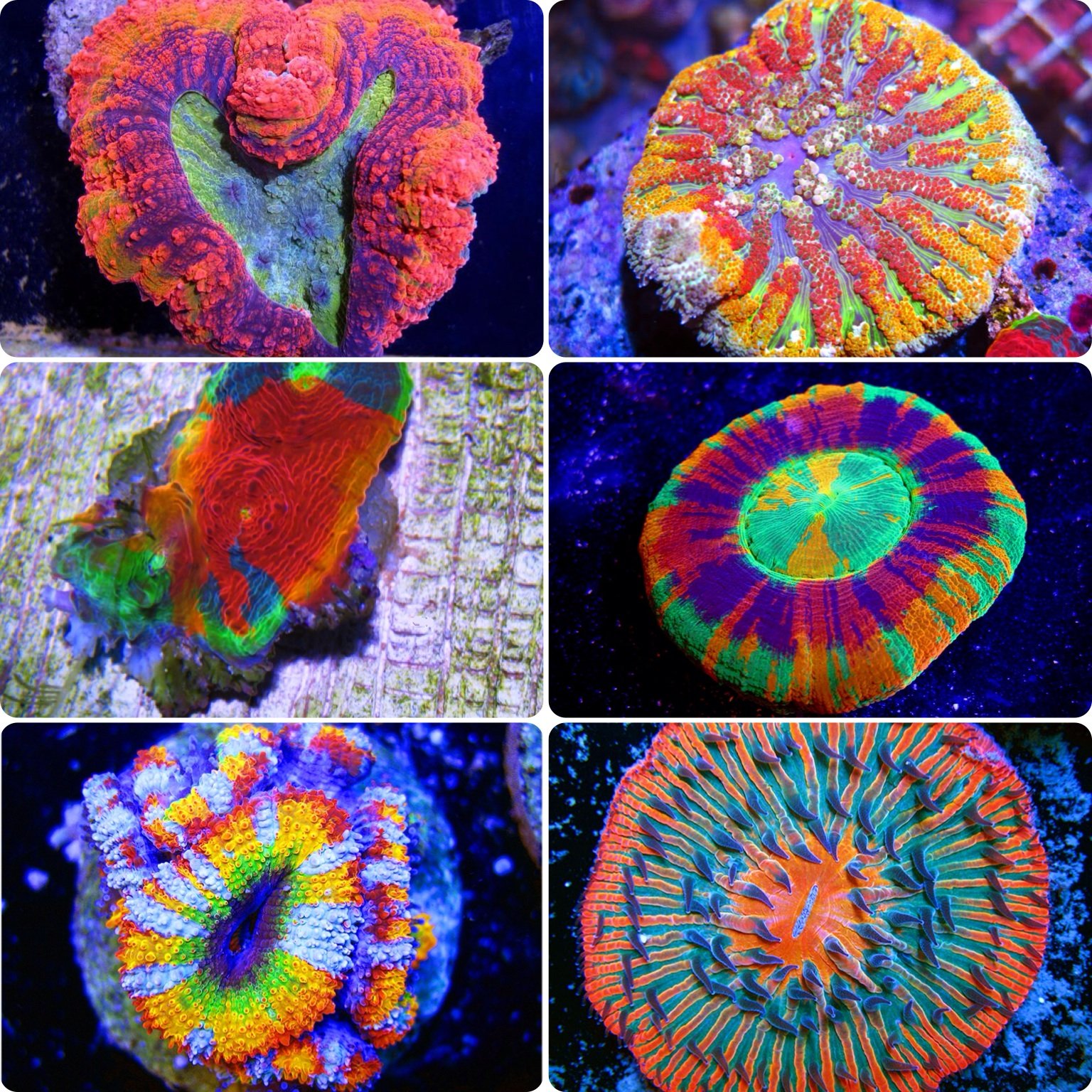 Shipping module 4-26-15